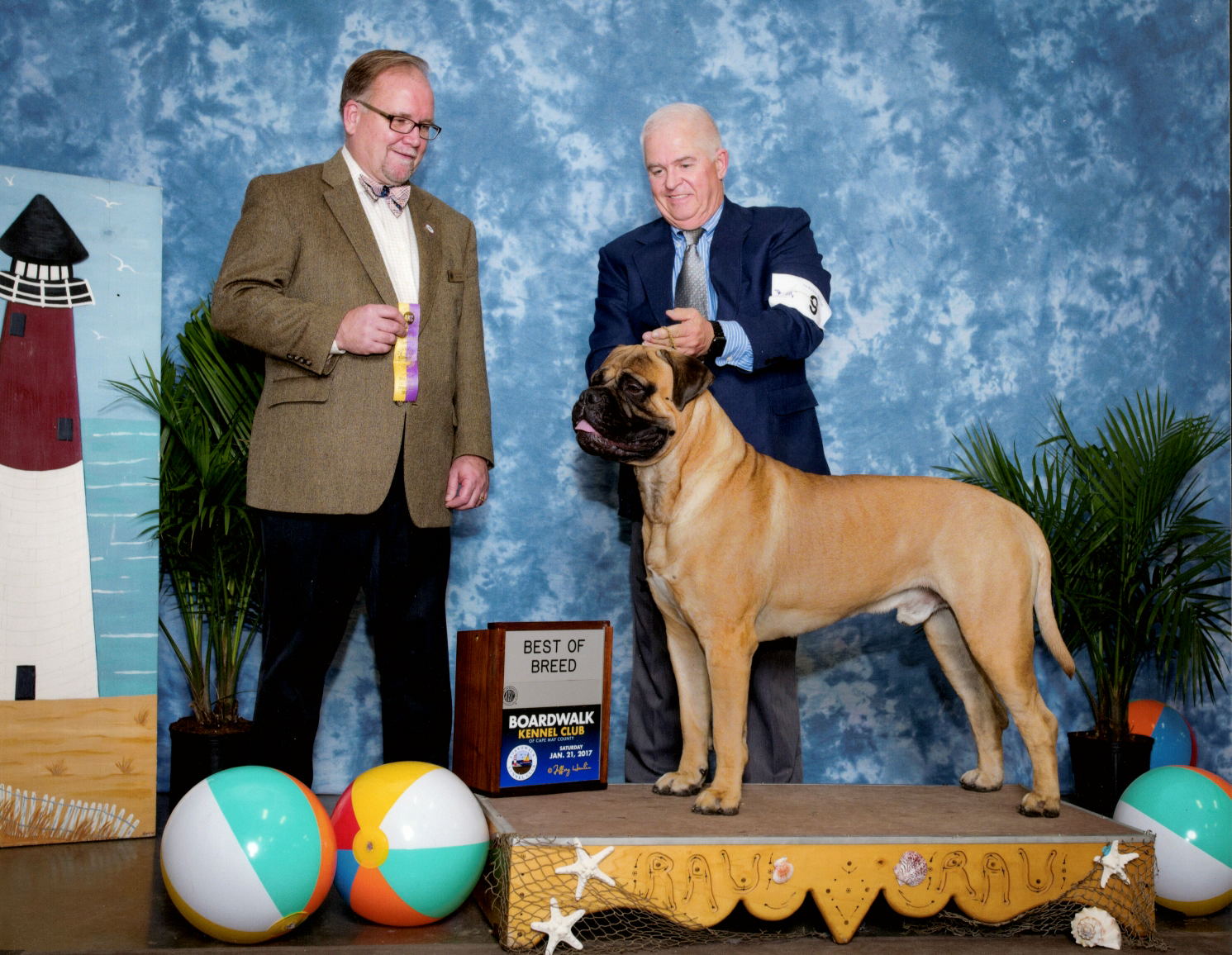 Gus: GCH Boundless going for the Gusto Gus: GCH Boundless going for the Gusto